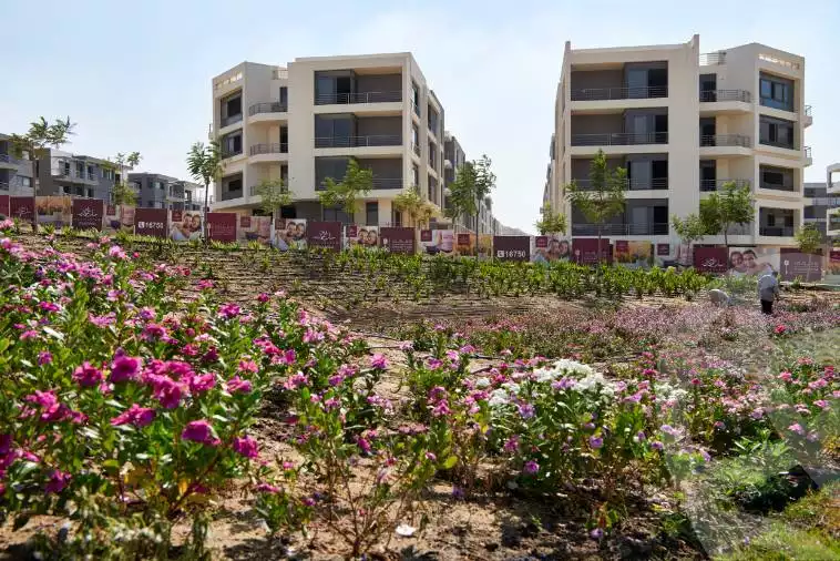 تاج سلطان Taj Sultan - الصورة الرئيسية